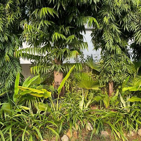 The Bougainvillea Cottage Farmstay Near Dehradun , 2 Bedroom Private Cottage Next To Fields And Orchards With Hill Views ภายนอก รูปภาพ