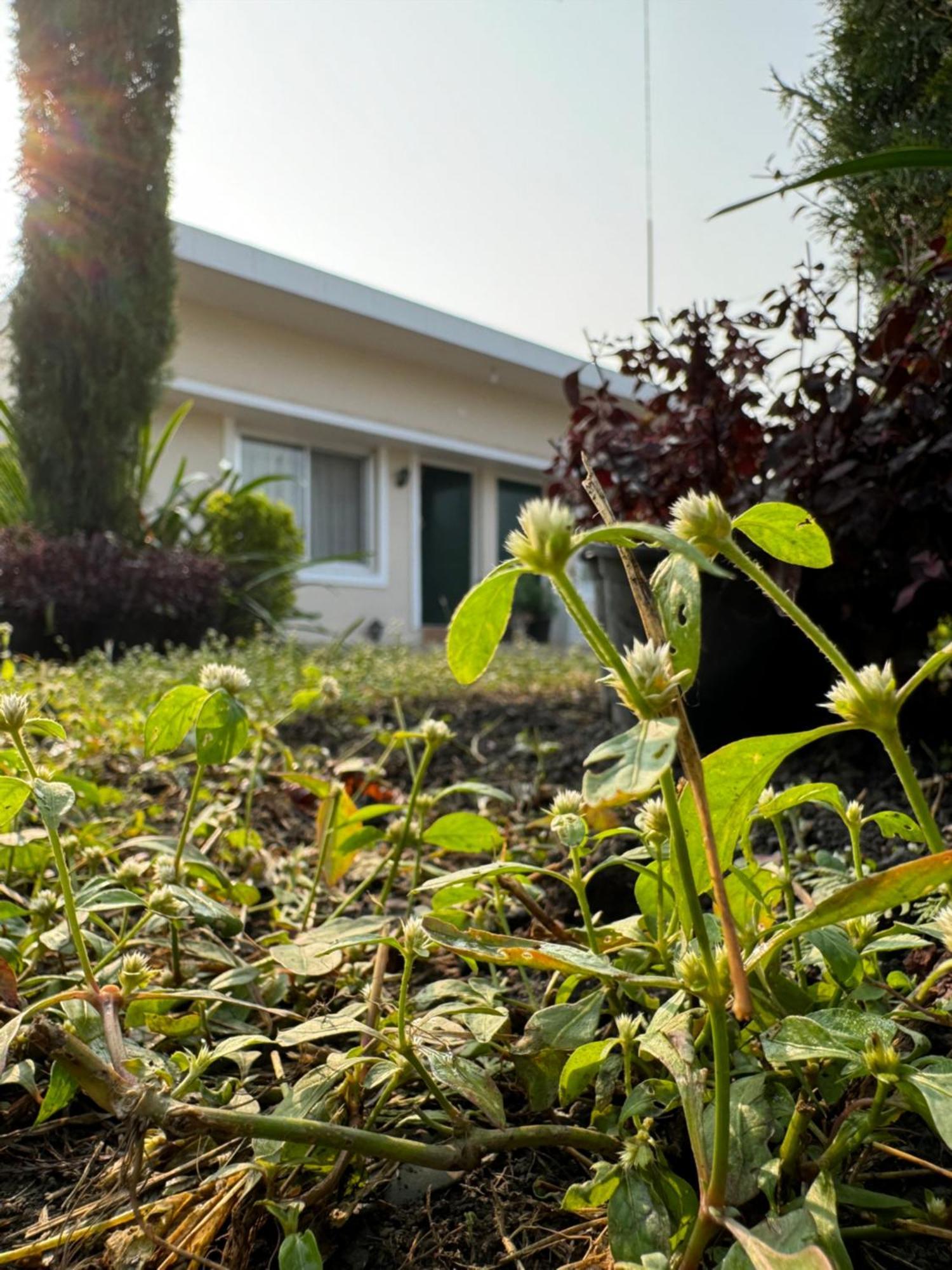The Bougainvillea Cottage Farmstay Near Dehradun , 2 Bedroom Private Cottage Next To Fields And Orchards With Hill Views ภายนอก รูปภาพ