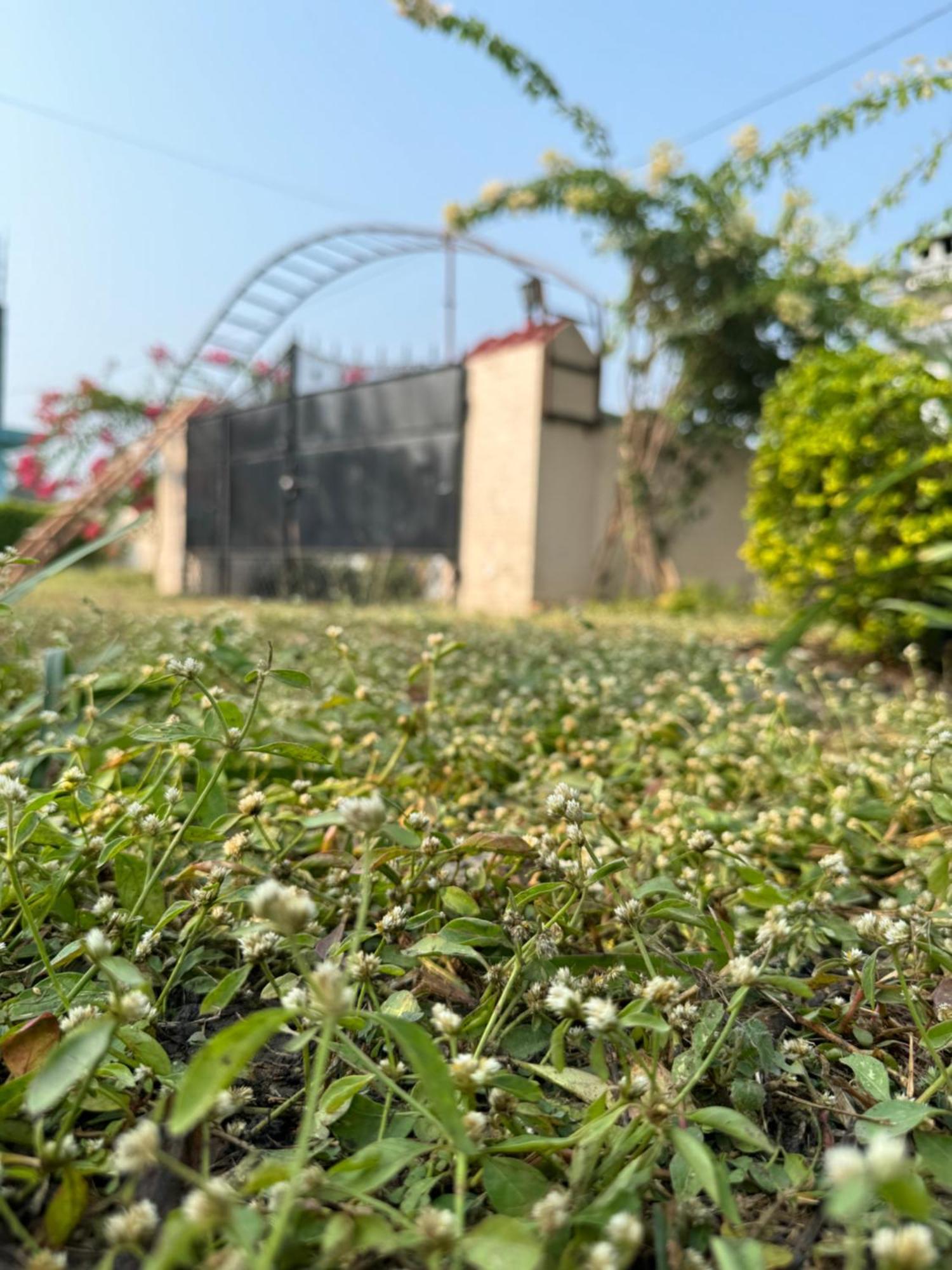 The Bougainvillea Cottage Farmstay Near Dehradun , 2 Bedroom Private Cottage Next To Fields And Orchards With Hill Views ภายนอก รูปภาพ